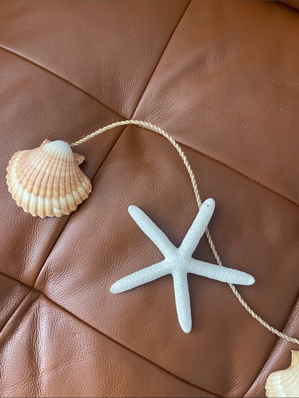 Shell Decor - Picture 2 of 3